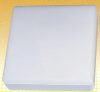 LANDLITE CLT-3026, 2x11W 2G7, fénycsöves fali/mennyezeti lámpa LANDLITE CLT-3026, 2x11W 2G7, fénycsöves fali/mennyezeti lámpa