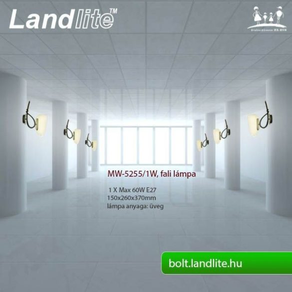 LANDLITE MW-5255/1W, fali lámpa