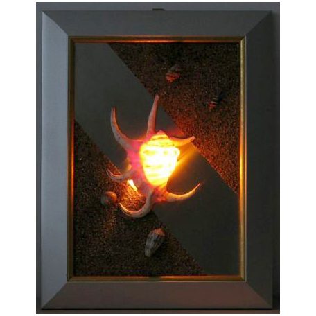 LANDLITE SHELL LIGHT-003, 1xG9 230V 25W, kagyló lámpa