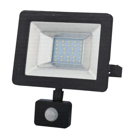 YRW30-WL76G, 30W, 6000K hidegfehér, 2850lm, IP54, Fekete, LED Reflektor, LED Fényvető mozgásérzékelővel