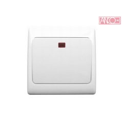 ANCO Olympic change-over switch
