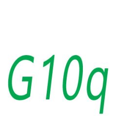G10q Foglalat
